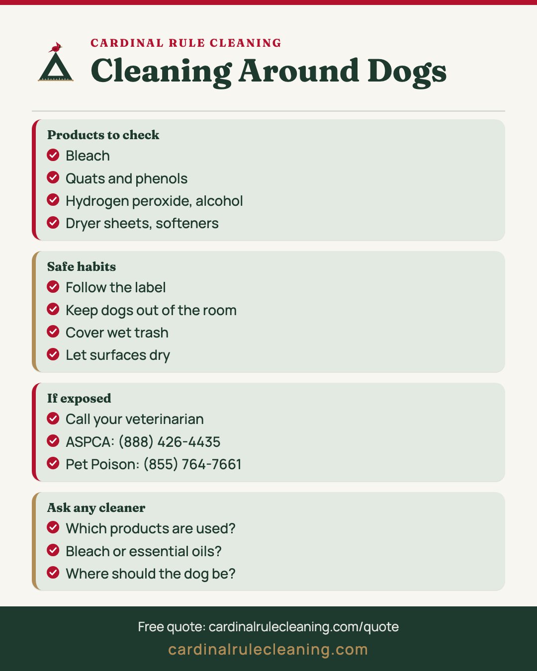 Cleaning around dogs infographic covering products to check, safe habits, when to call and questions to ask